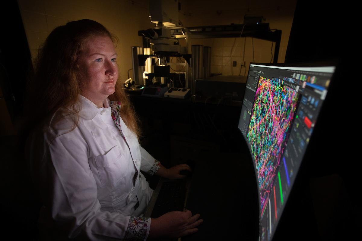 Photo of Dr. 艾米·尼尔森在实验室用电脑工作